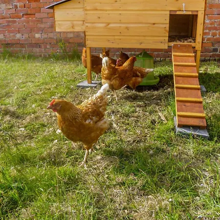 Appartement Vallum At Hadrians Irthington