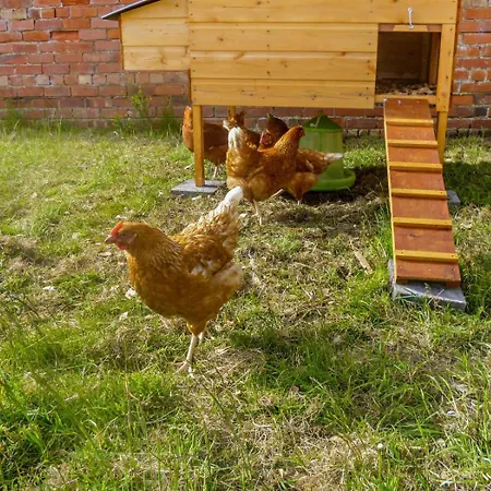 Lägenhet 2 Bed In Oc-v28308 *