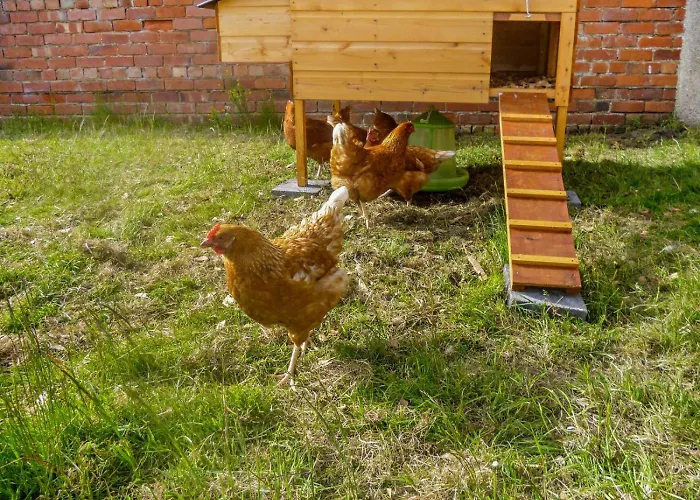 Lägenhet 2 Bed In Oc-v28308 Irthington